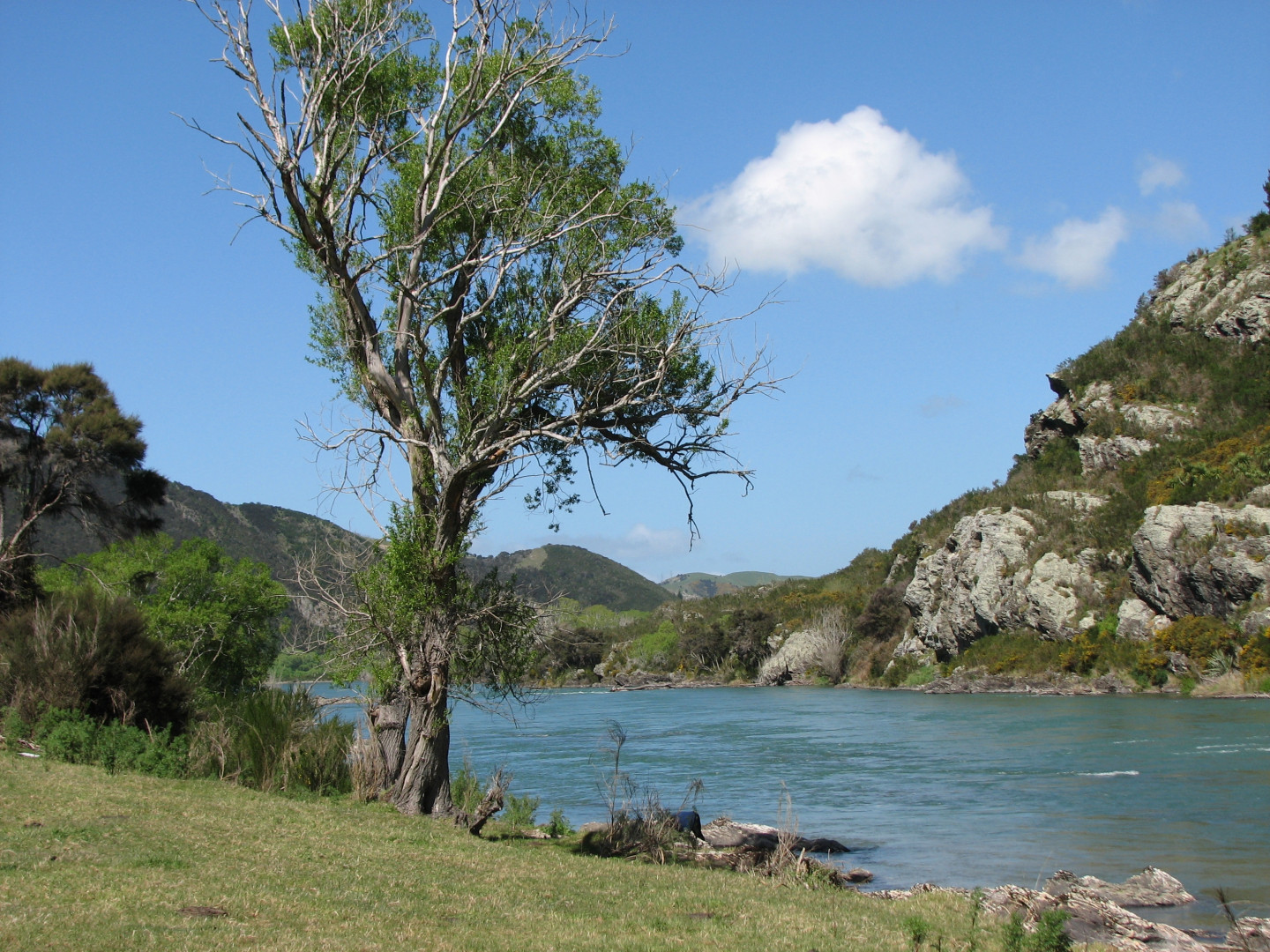 Beaumont river