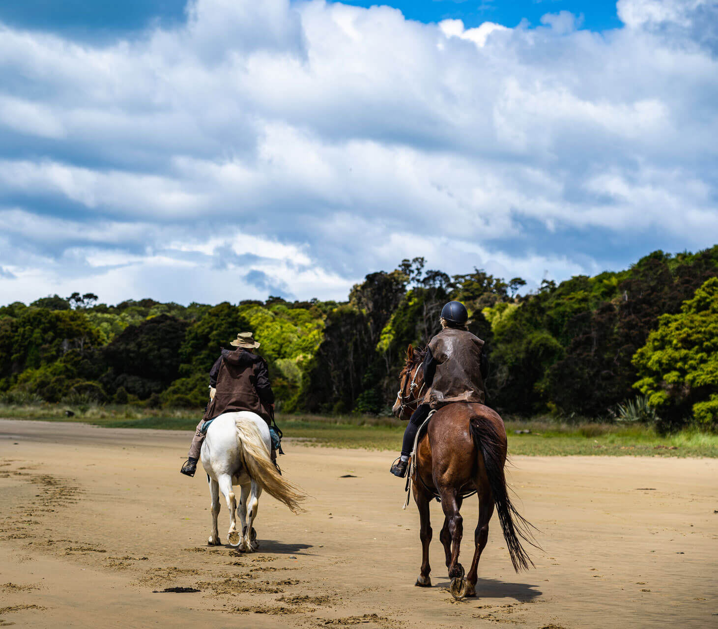 133083 horse riding at papatowai the catlins new zealand credit clutha nz 41 web size 1920px 1