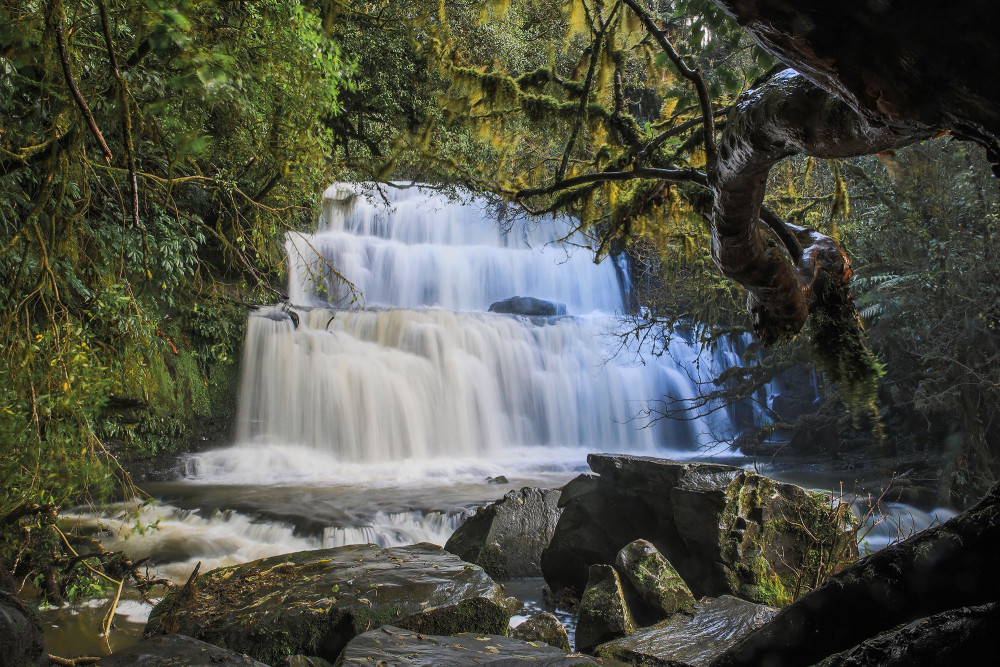 Purakanui Falls