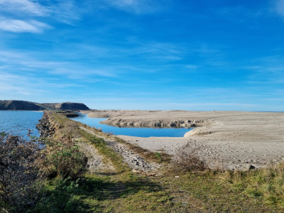 Clutha mouth