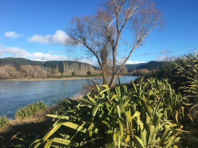 clutha river