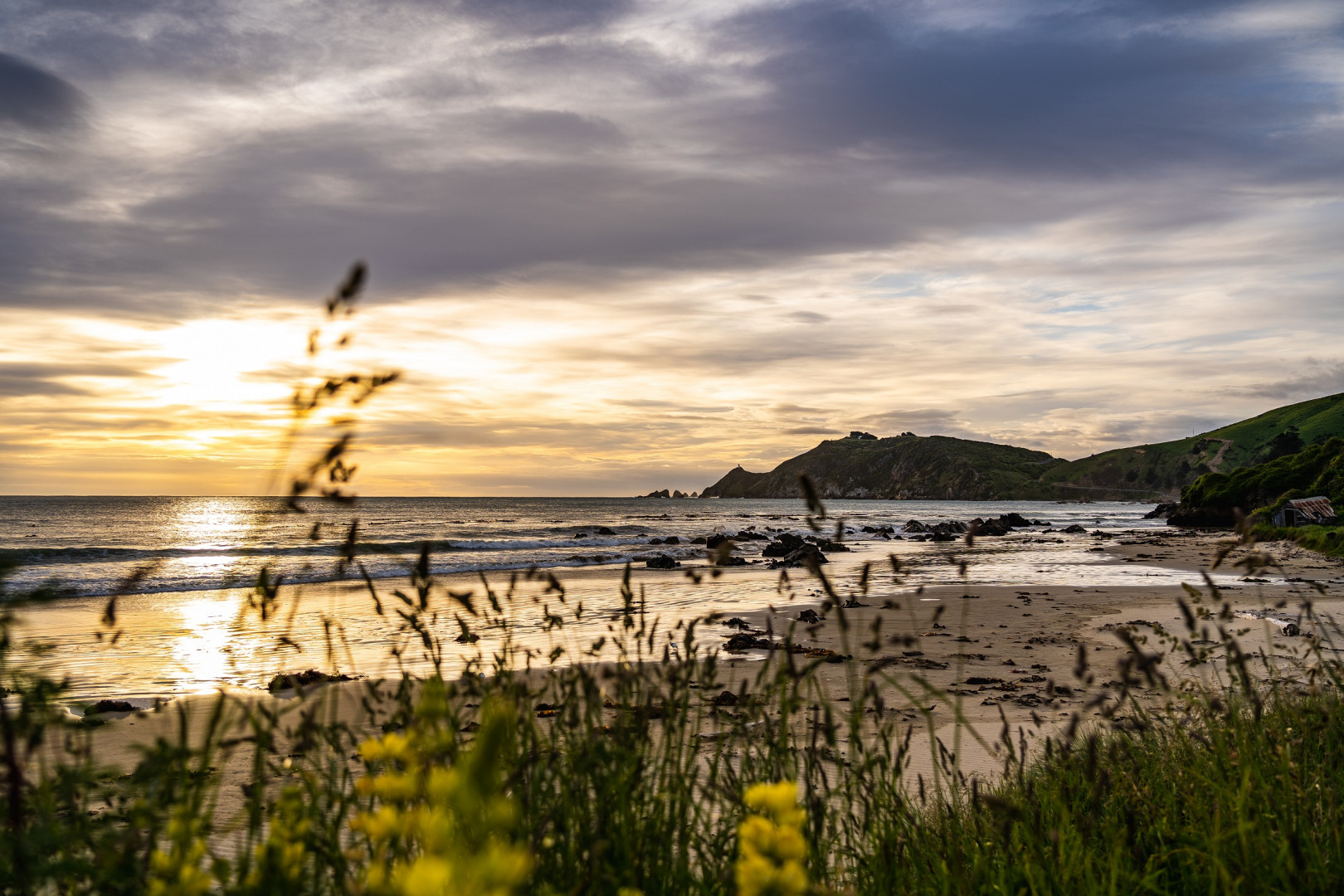 nugget point in the catlins