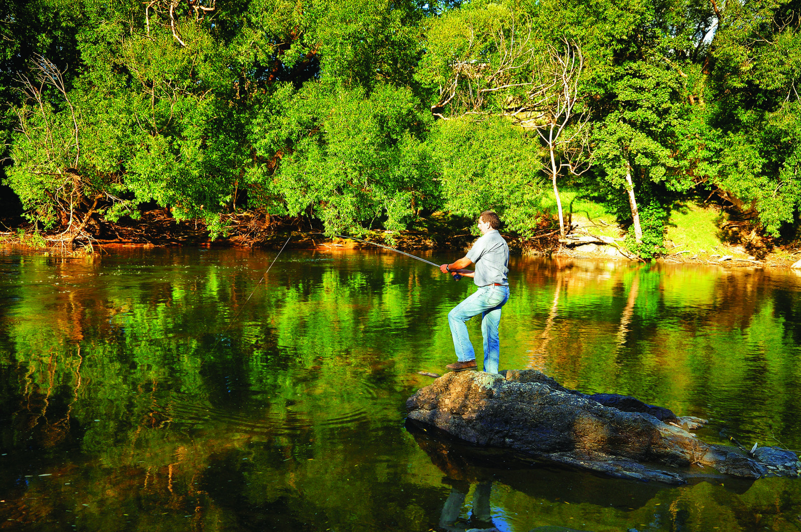 fishing in clutha