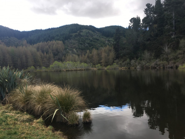 dam at gabriels gully