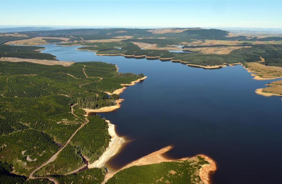 Lake Mahinerangi 2