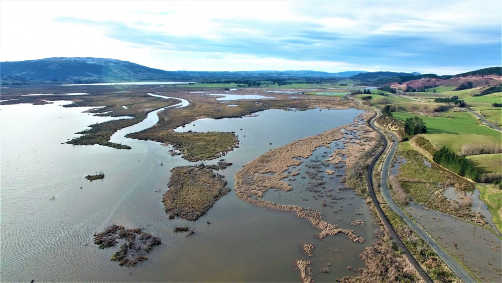 lake waihola 3