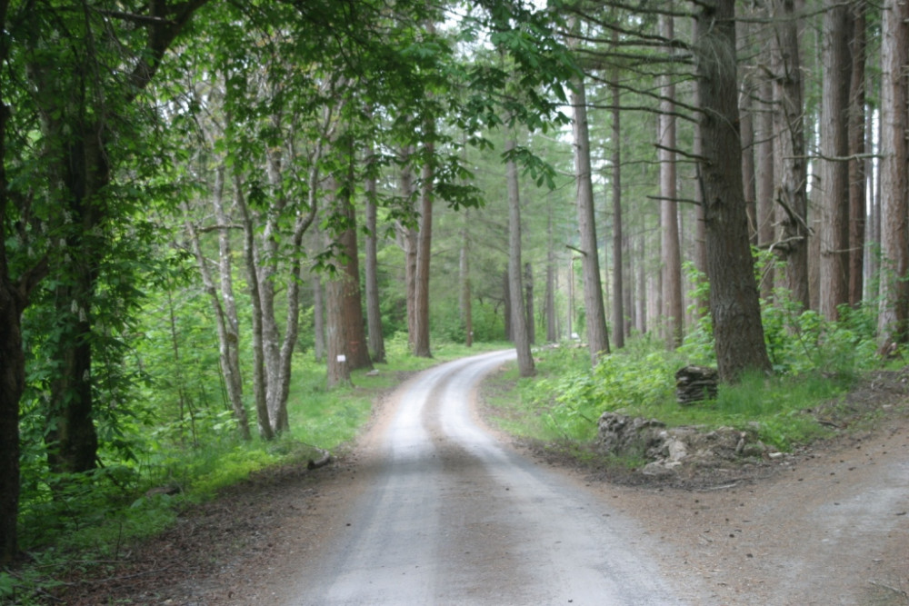 Road to Leithen or Country Road