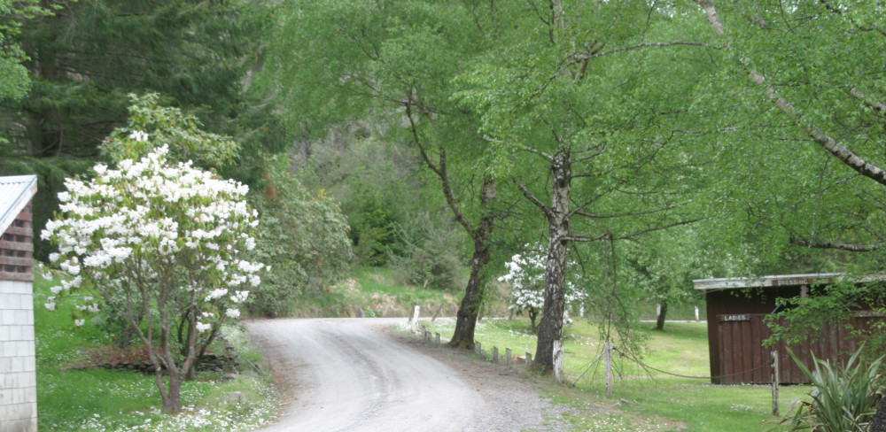 Leithen Picnic Area