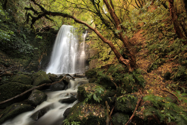 Matai Falls