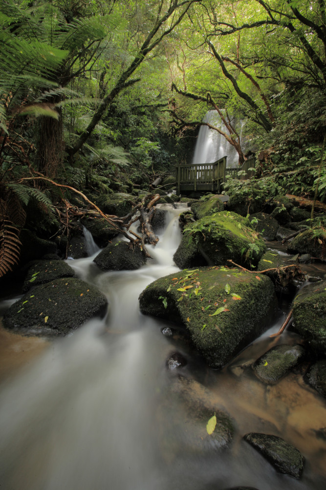 Matai Falls 2