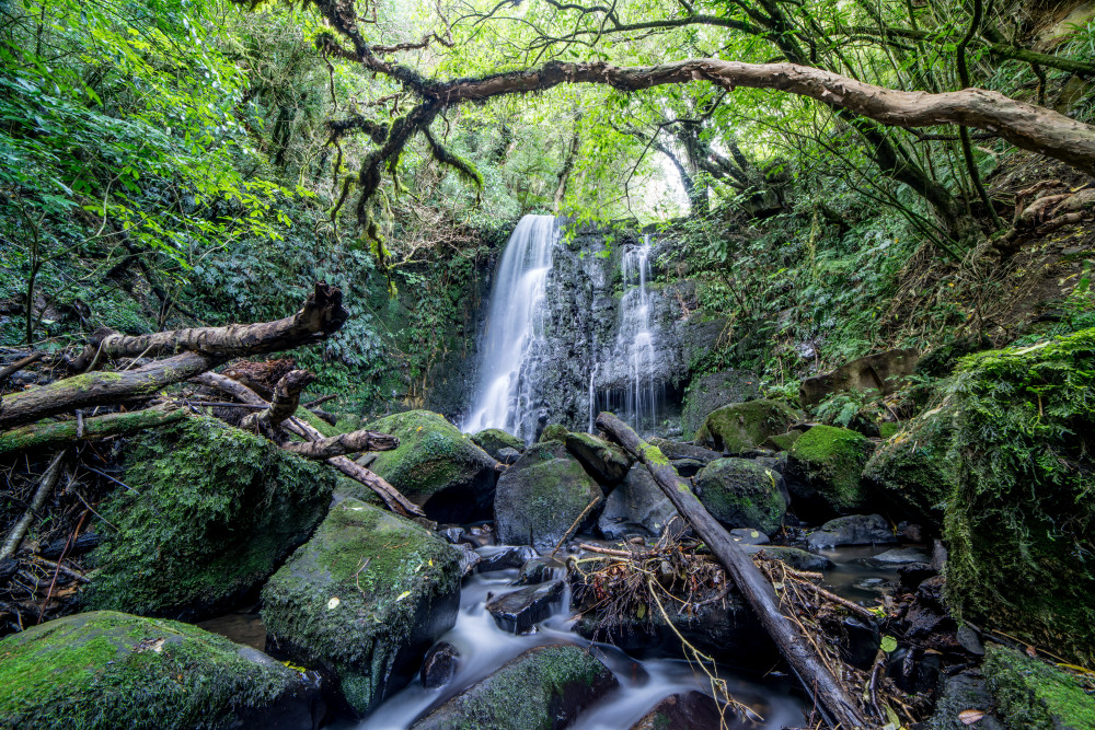 Matai Falls 3