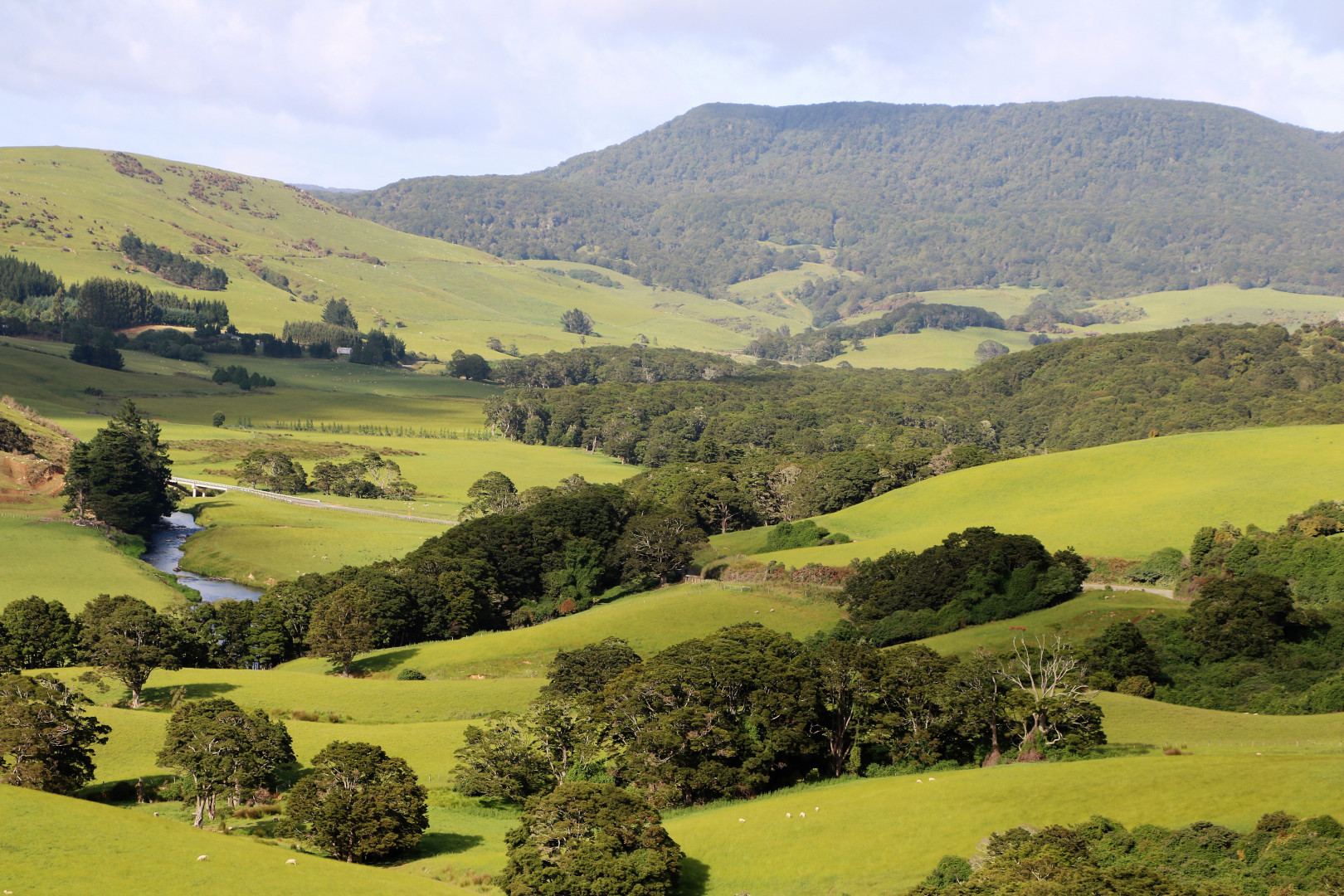 catlins river valley tawanui