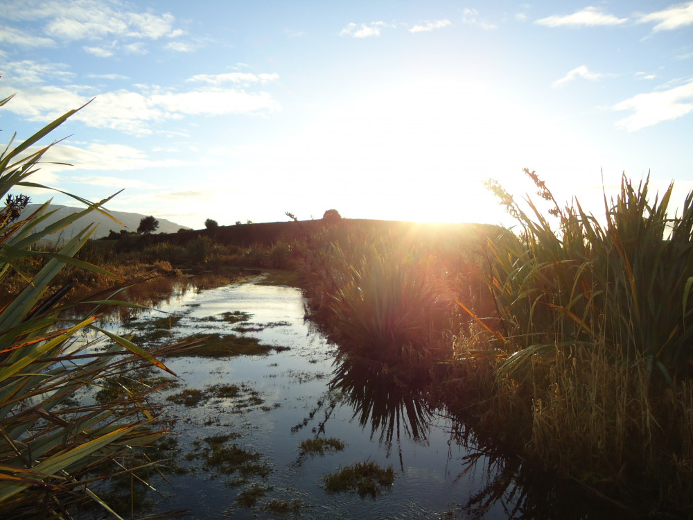 sinclair wetlands 2