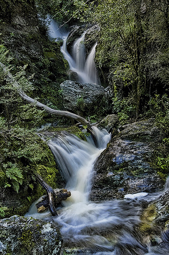 waipori falls