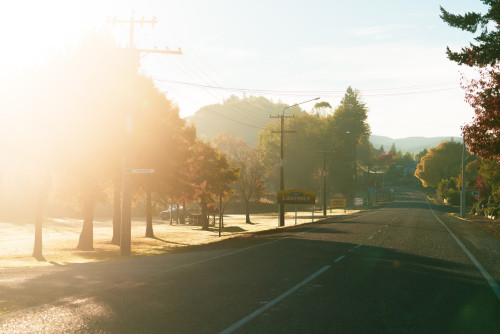 Tapanui, West Otago | Clutha NZ