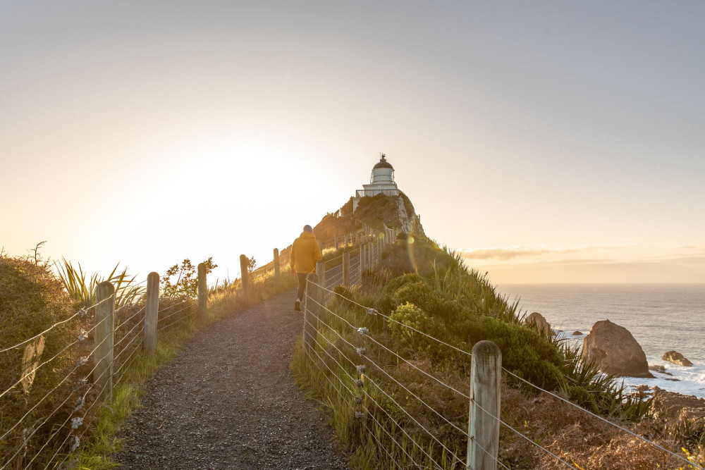 137471 nugget point lighthouse the catlins new zealand credit clutha nz 8 web size 1920px