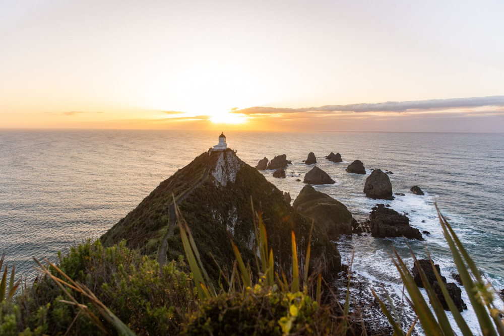 137478 nugget point lighthouse the catlins new zealand credit clutha nz 1 web size 1920px