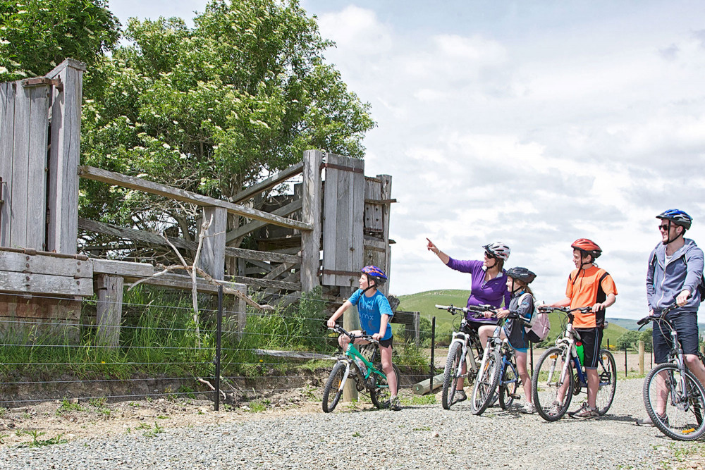 people biking on the Clutha Gold Cycle Trail